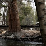 2011 Ford Explorer teaser