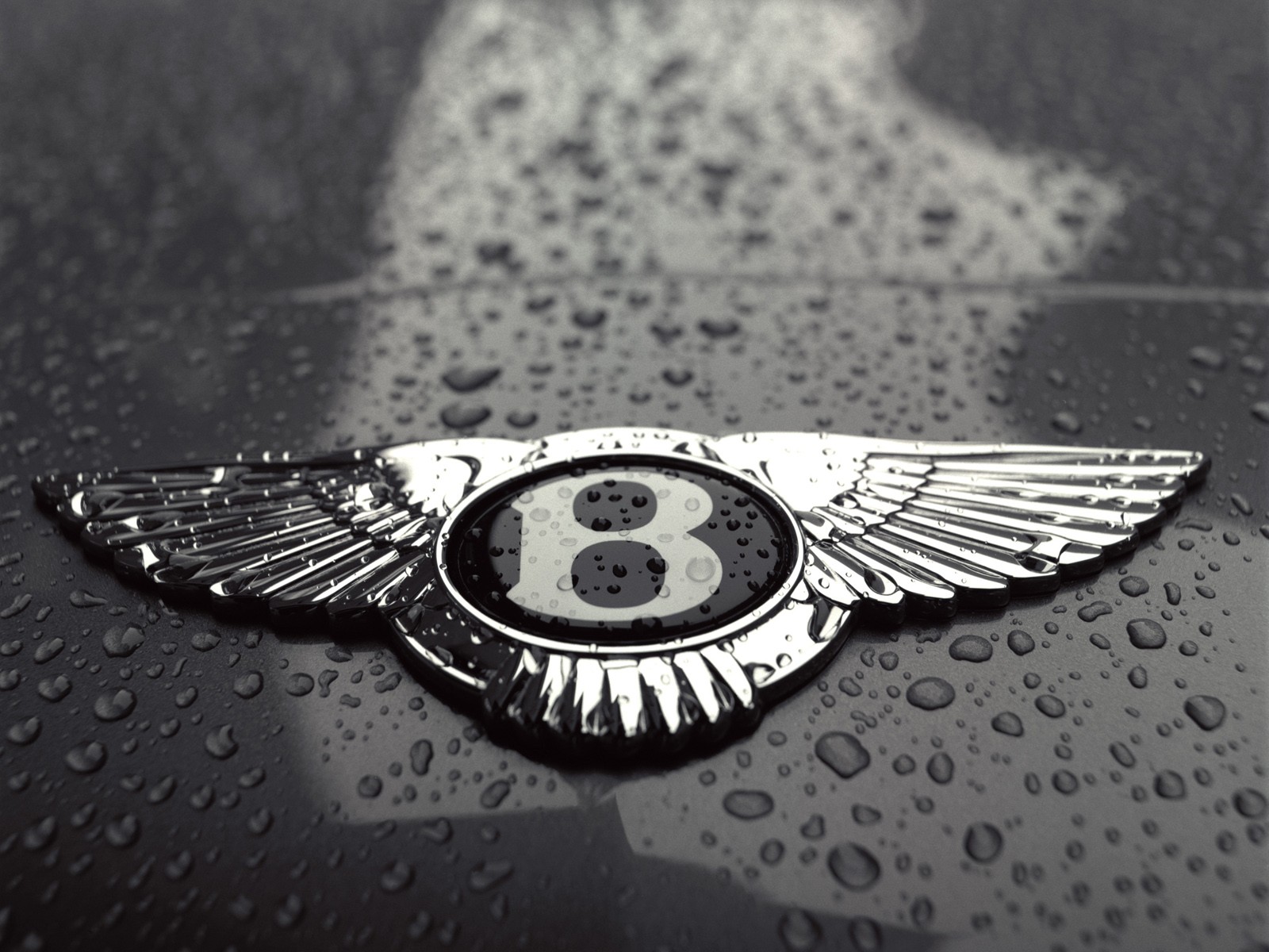 bentley logo wallpaper