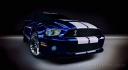 2010 Ford Shelby GT500 Mustang
