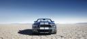 2010 Ford Shelby GT500 Mustang