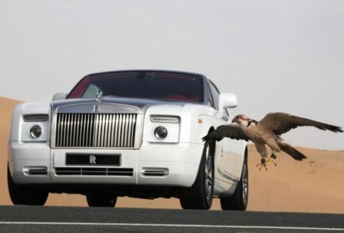 Rolls Royce Shaheen