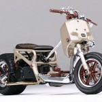 Custom Honda Ruckus