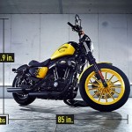 Rockstar Custom Harley Davidson