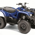 Yamaha Grizzly 300