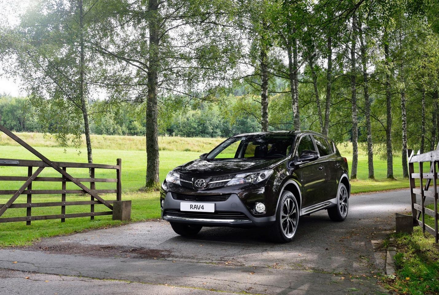 2014 Toyota RAV4