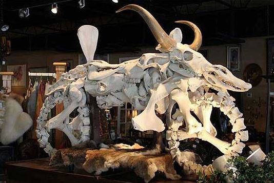 Bone Motorcycle Sculpture