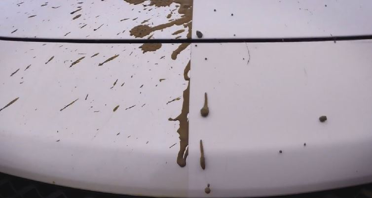 Nissan Note with hydrophobic paint