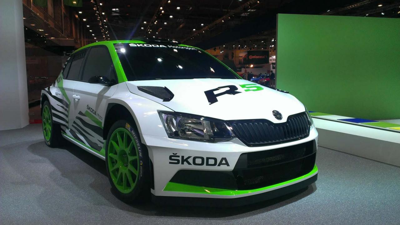 Skoda Fabia R5 concept