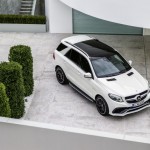 2016 Mercedes-Benz GLE