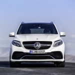 2016 Mercedes-Benz GLE