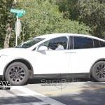 Tesla Model Spy Shot