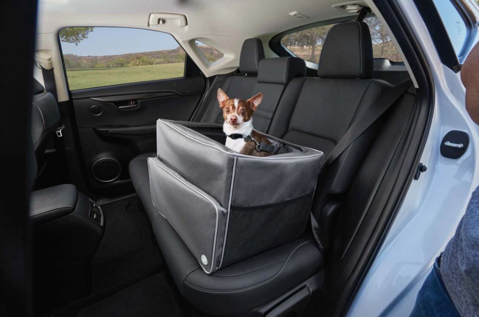 Dog Car Seat