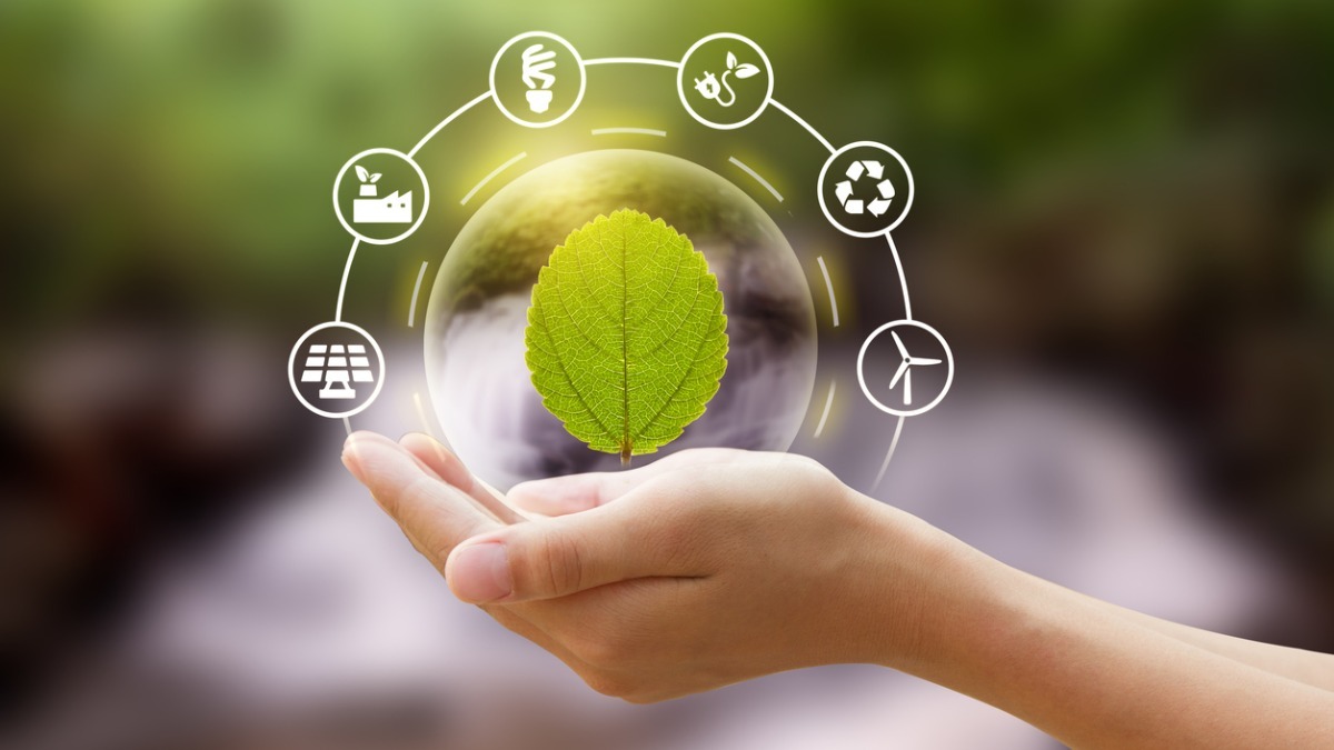 Sustainability and Eco Friendliness