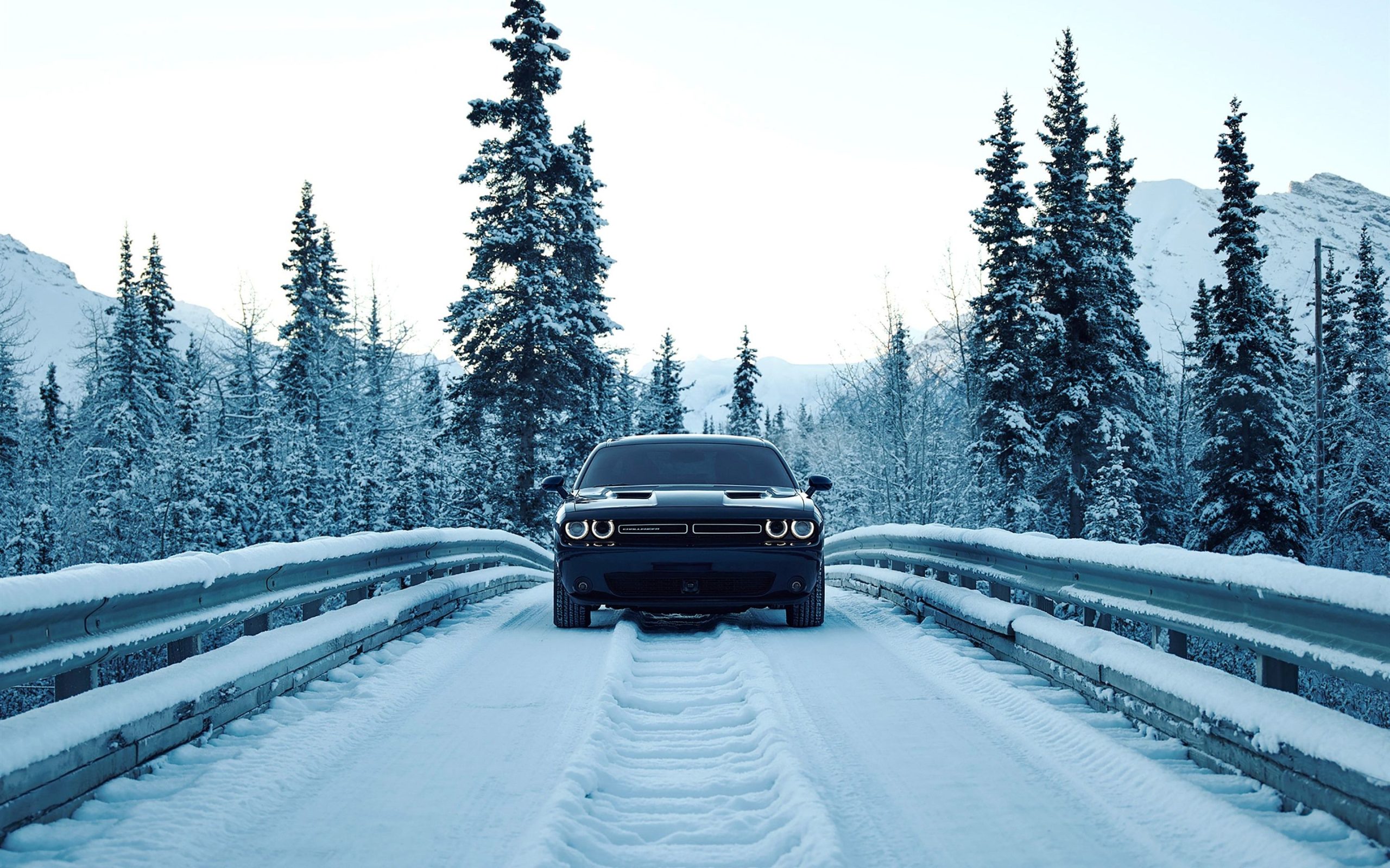 Fall and Winter Car Driving