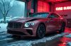 Damaged cars from Copart hidden gems or risky business