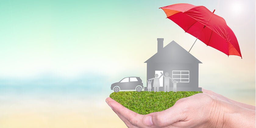 Step 2 Dealing with Insurance (Yours and Theirs)