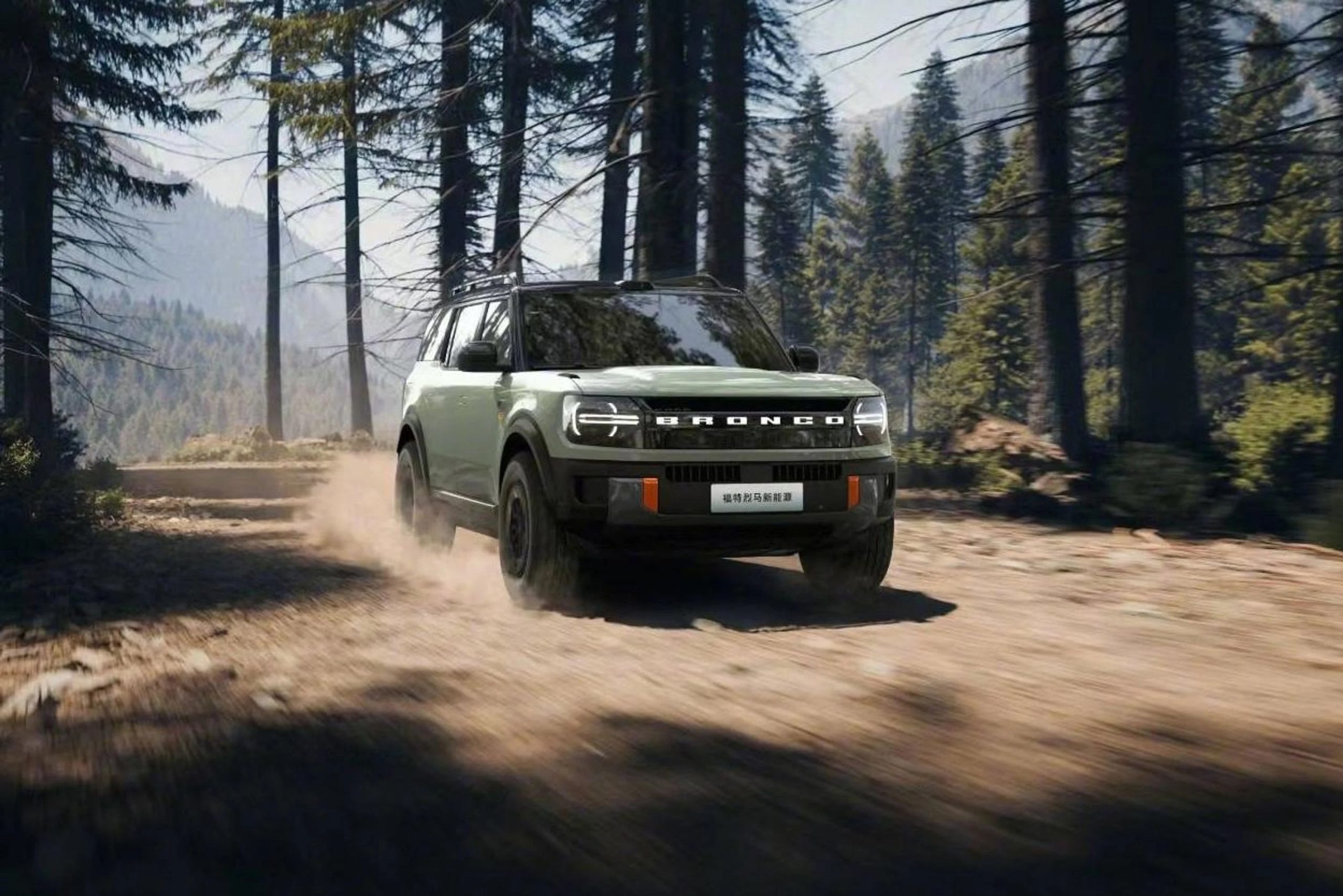 Ford Branco New Energy (1)