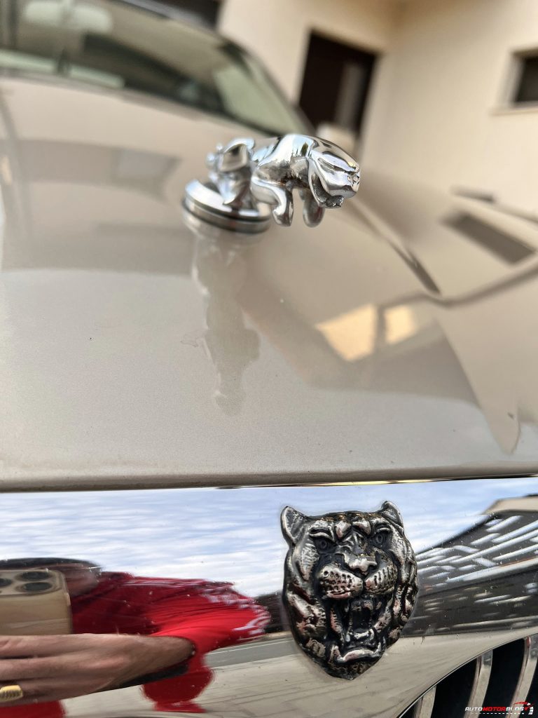 Jaguar XJ X308 hood ornament (4)