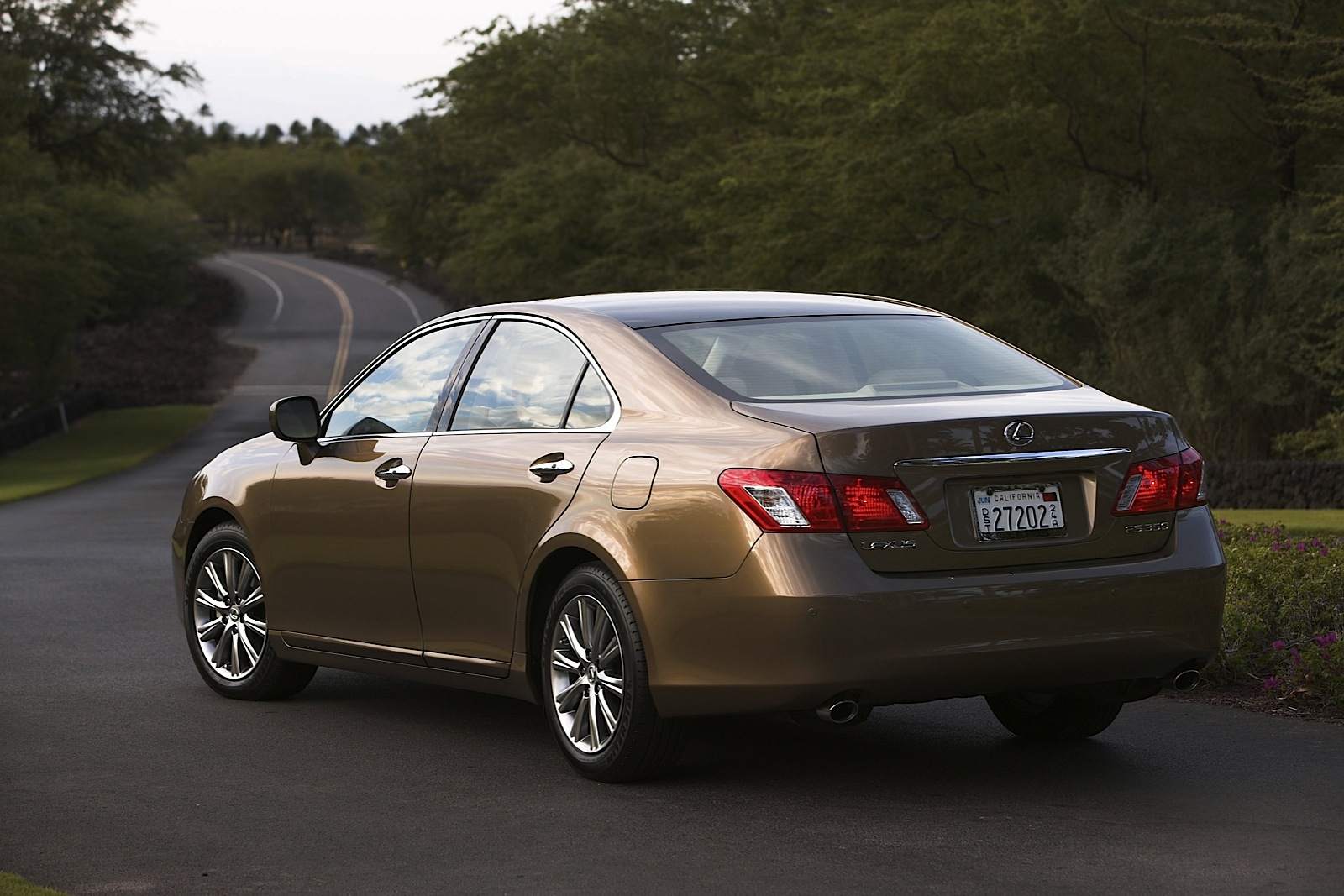 Recall affected Lexus