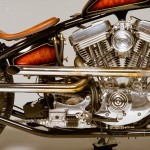 Harley Davidson Sportster 1200 by Atom Bomb