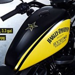 Rockstar Custom Harley Davidson