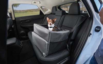 Dog Car Seat